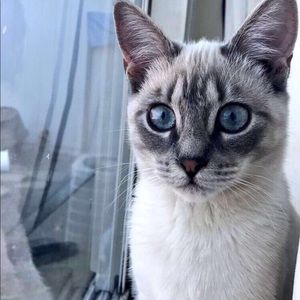 Meet your Posher, Shaelee